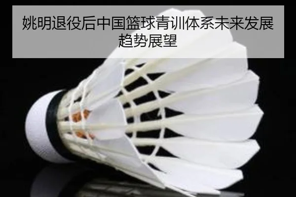 姚明退役后中国篮球青训体系未来发展趋势展望