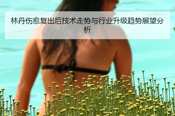 林丹伤愈复出后技术走势与行业升级趋势展望分析